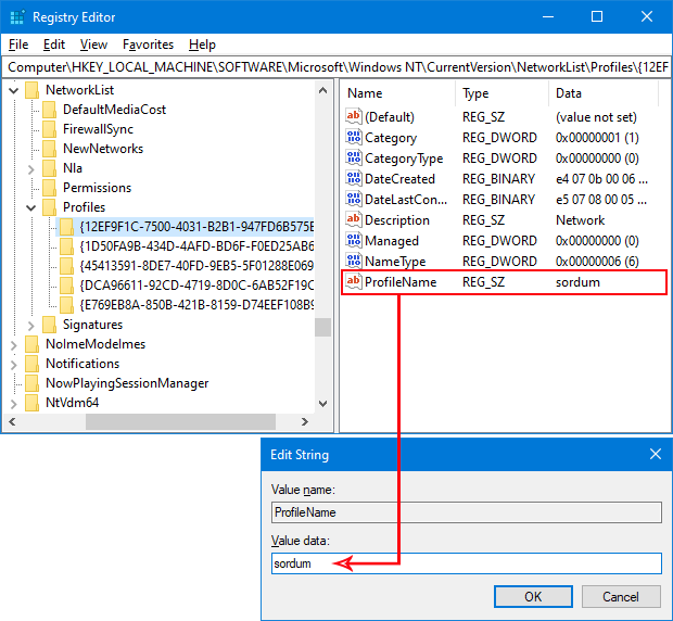 Network profile name in registry